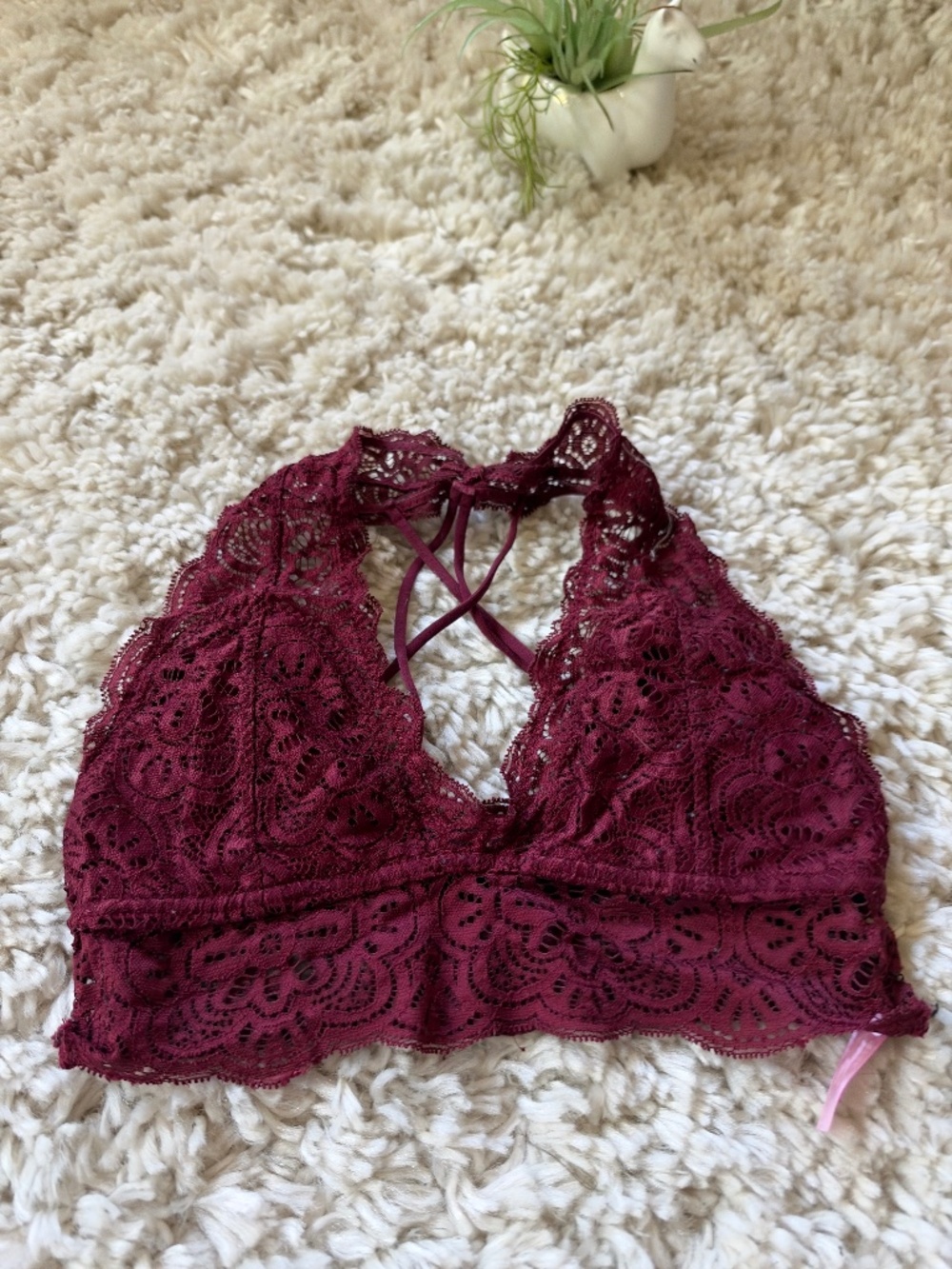Time & true Last Dance Lace Halter Bralette in burgundy lace with halterneck sty